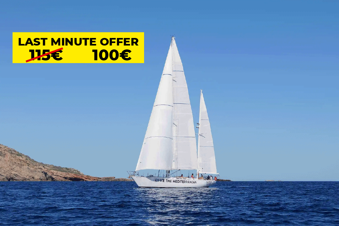 Die Die Bucht von Palma auf einem wunderschönen 22-Meter-Segelboot