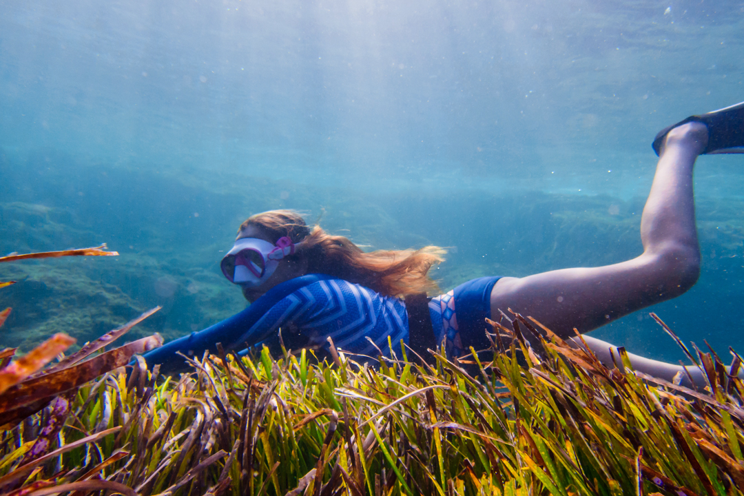 Marina Starfish Boat - Visit Dragonera Island Marina Starfish Boat - Visit Dragonera Island