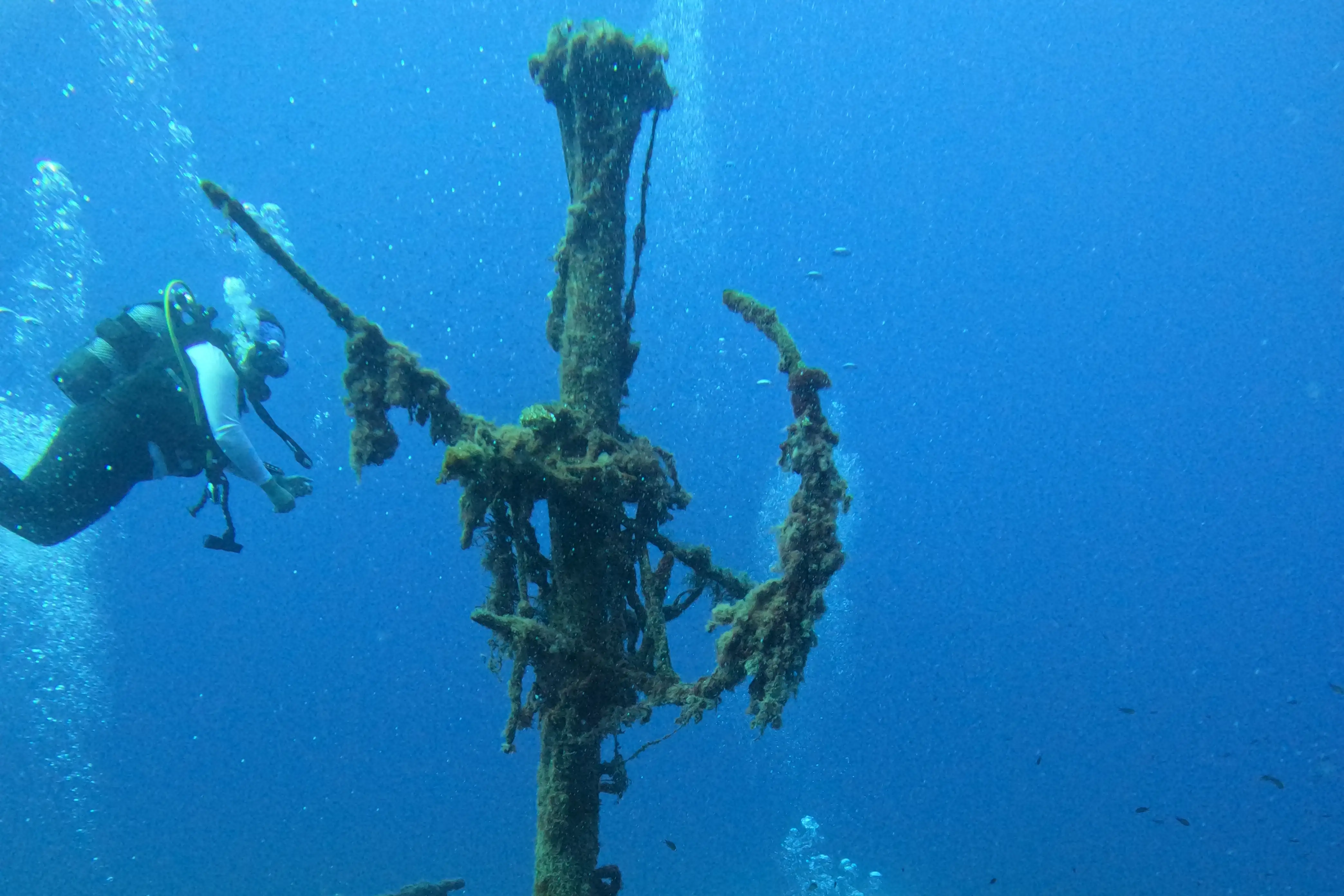 Experiencias de buceo en Palmanova