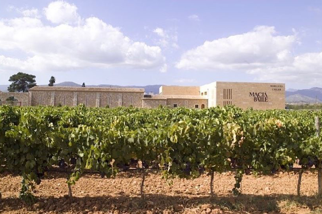 Valldemossa & Mallorcan Wine tasting Valldemossa & Mallorcan Wine tasting