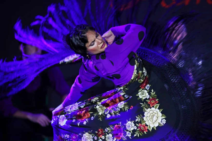 Flamenco Show at Tablao Alma in Palma