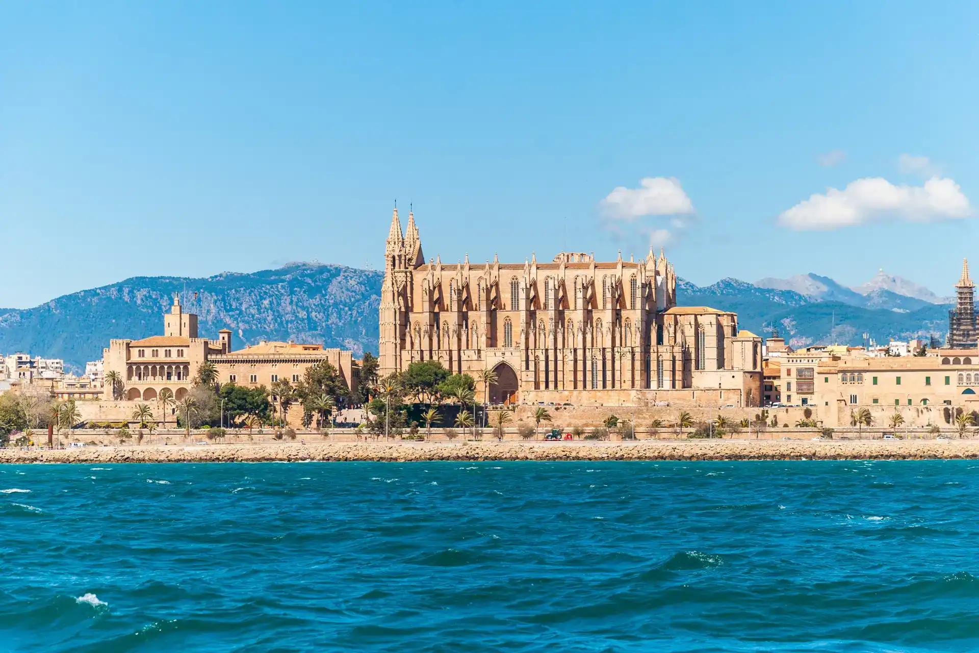 Bay cruise, in harmony with nature