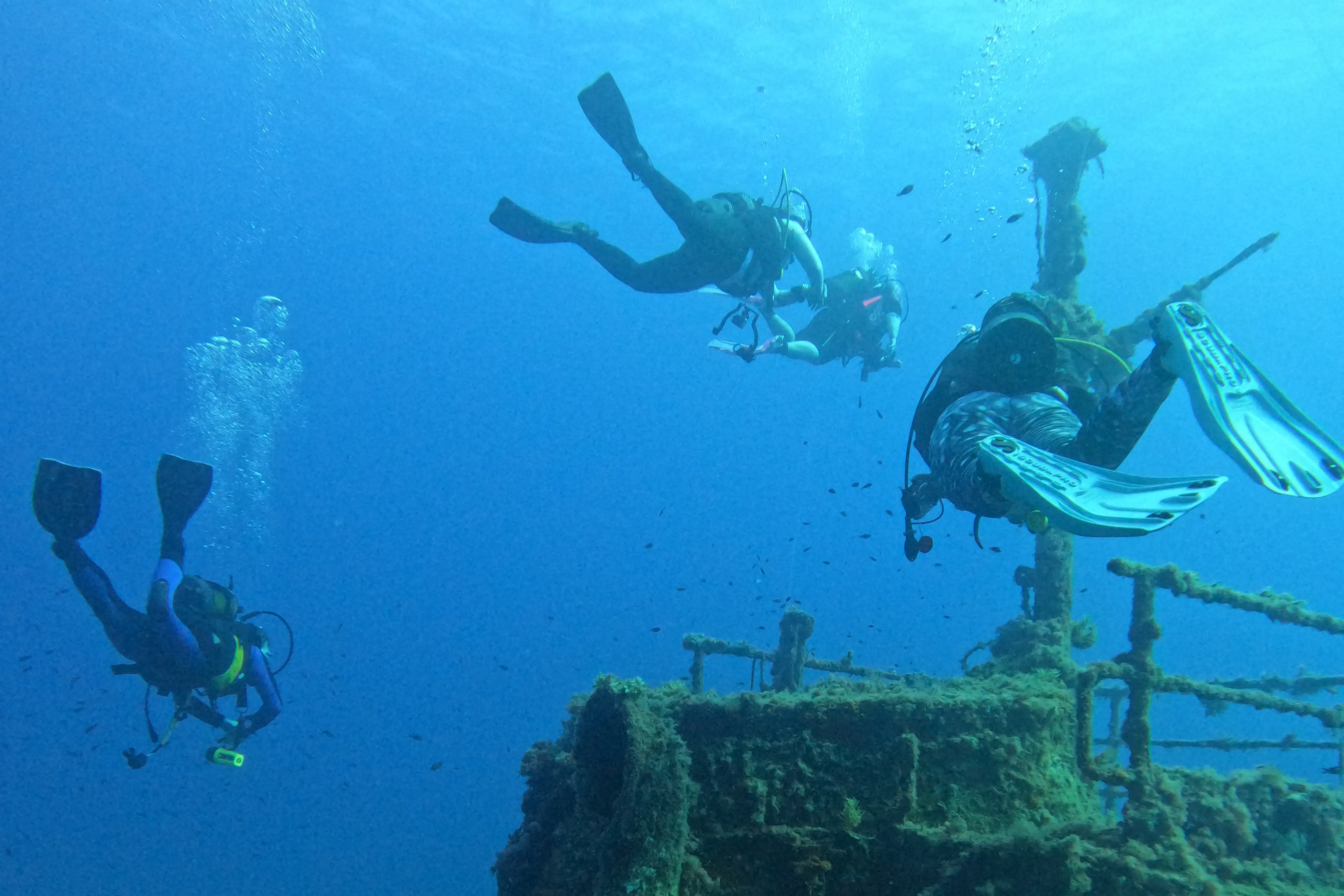 Diving experiences in Palmanova