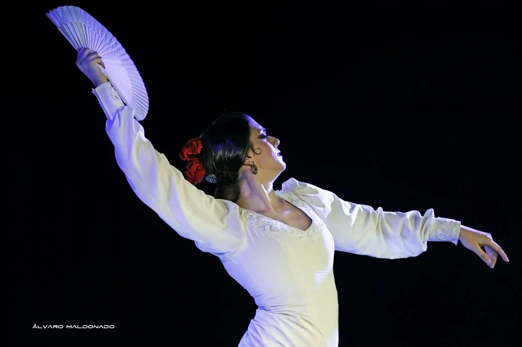 Flamenco Show at Tablao Alma in Palma